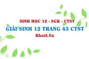 Giải Sinh 12 trang 43 Chân trời Sáng tạo